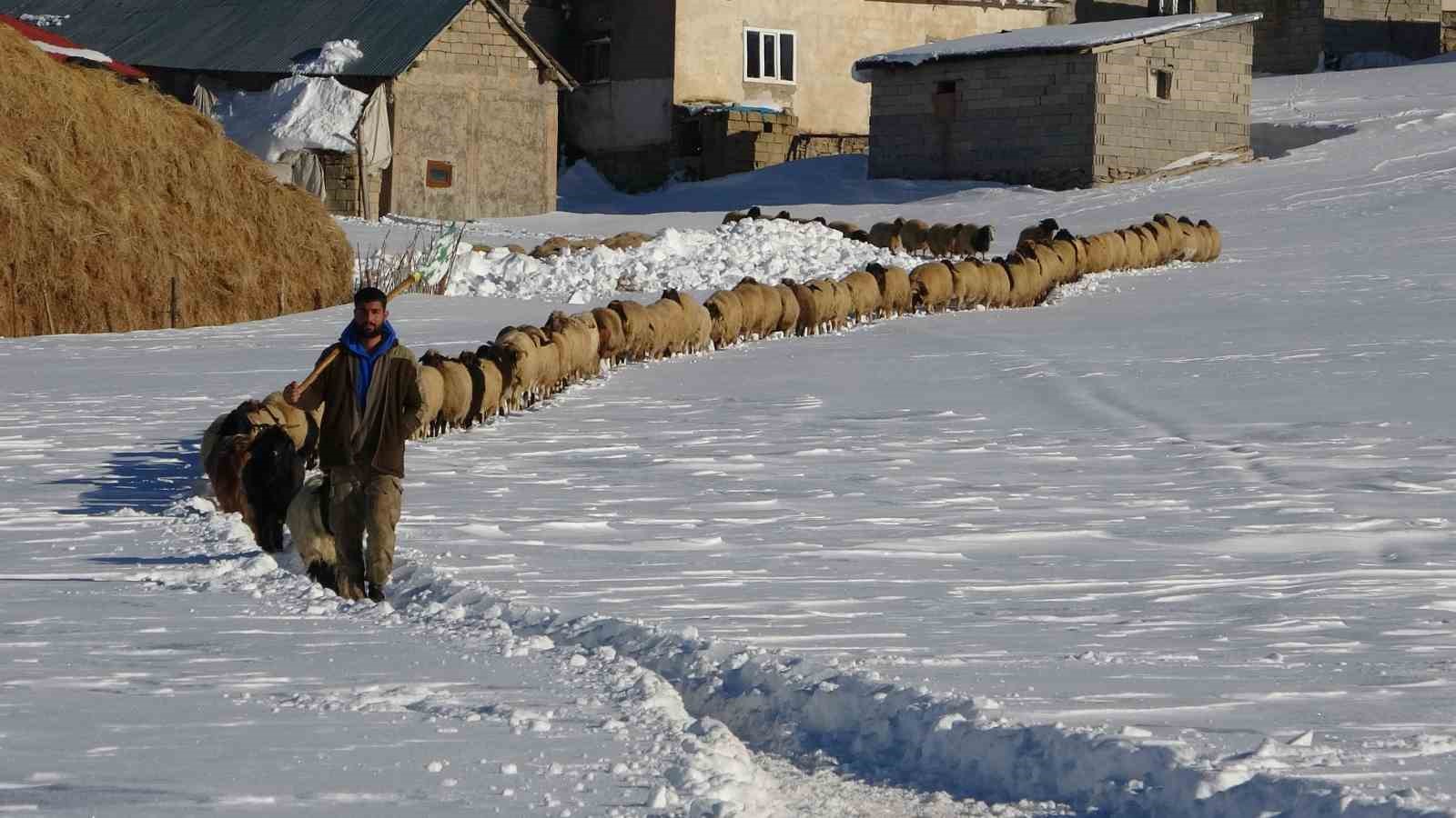 vanda besicilerin karda zorlu mesaisi suruyor 3 QADjbn1Y