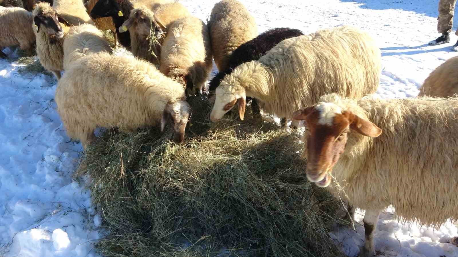 vanda besicilerin karda zorlu mesaisi suruyor 6 KhPfNzEQ