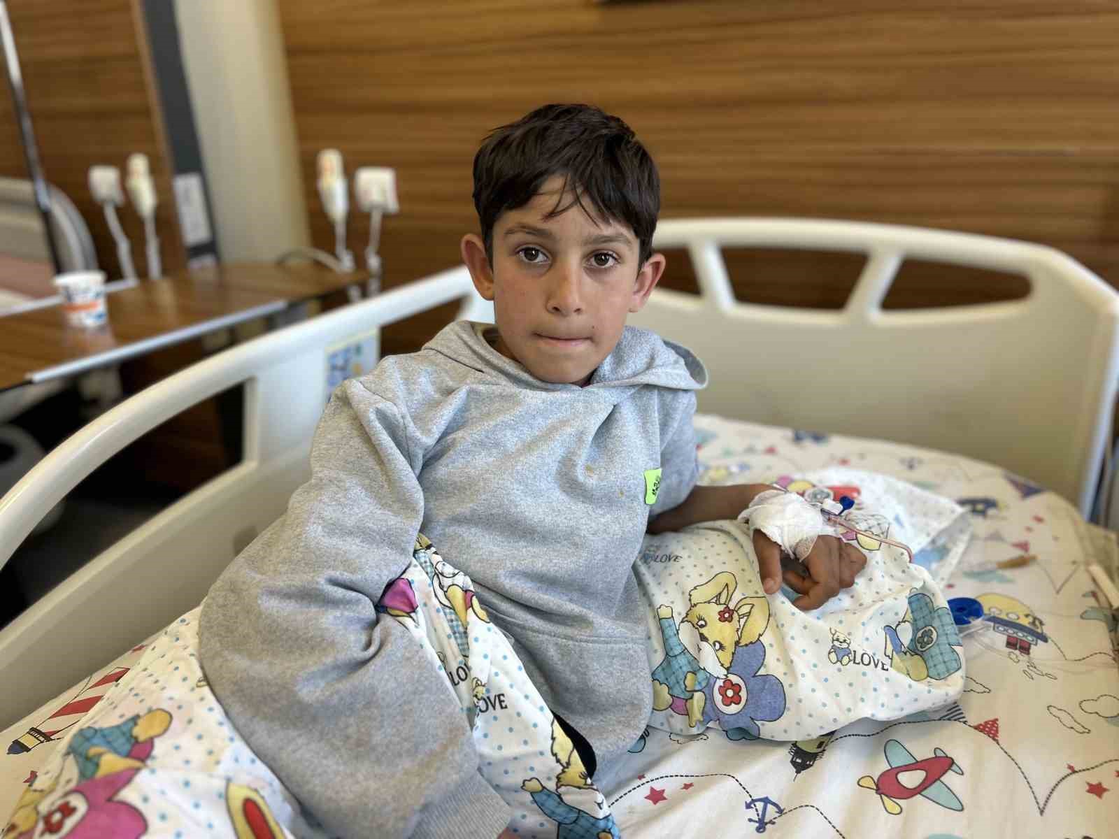 vanda bir hafta arayla 3uncu kopek saldirisi 11 yasindaki cocuk yaralandi 0 hgjasma4