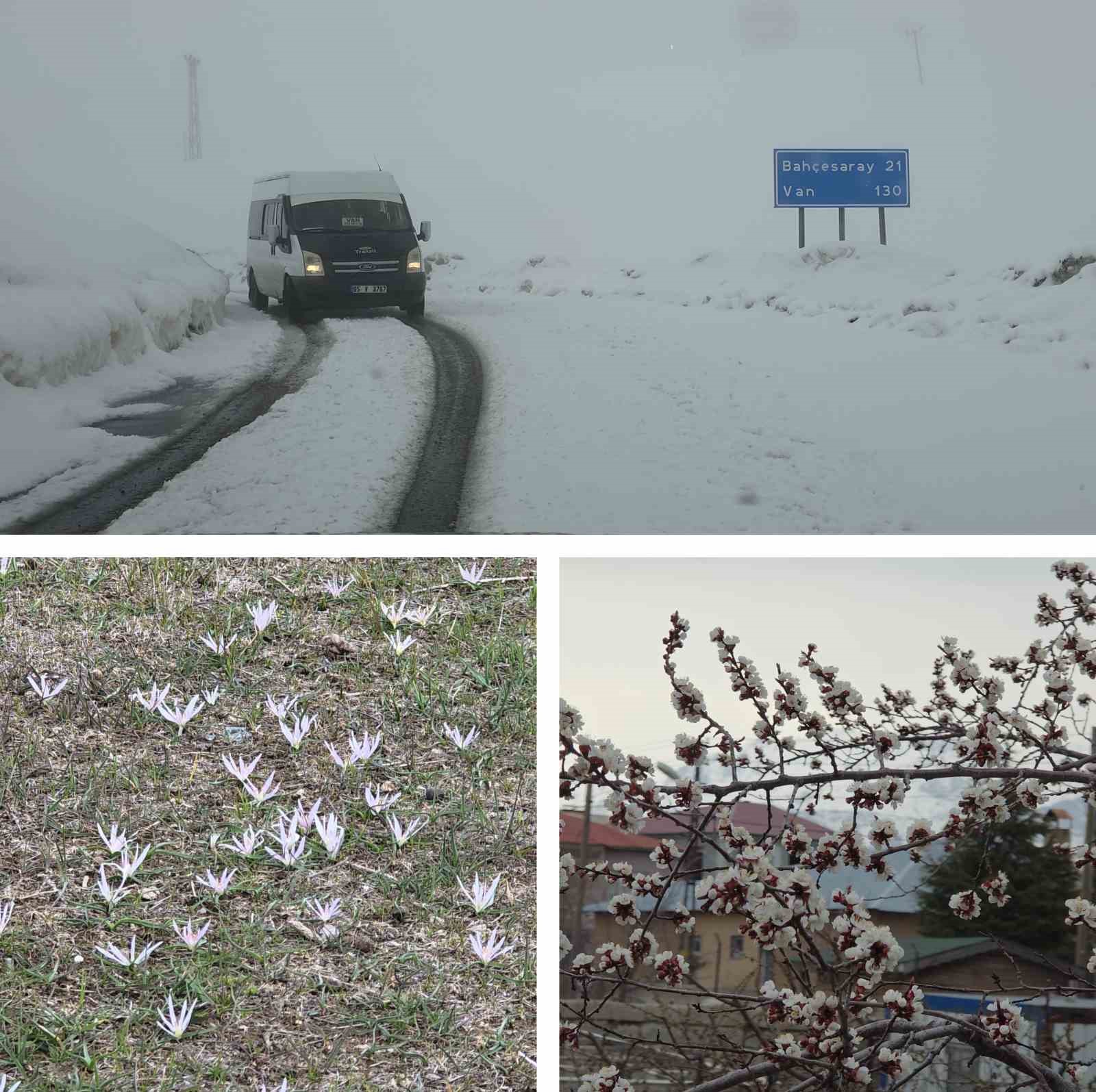 vanda iki mevsim bir arada bir yanda bahar diger yanda kis 0 lcEsM5Tk