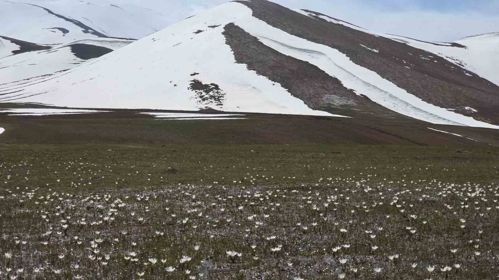vanda iki mevsim bir arada yukseklerde kar mesaisi merkezde bahar guzelligi 4 wNAeatkp