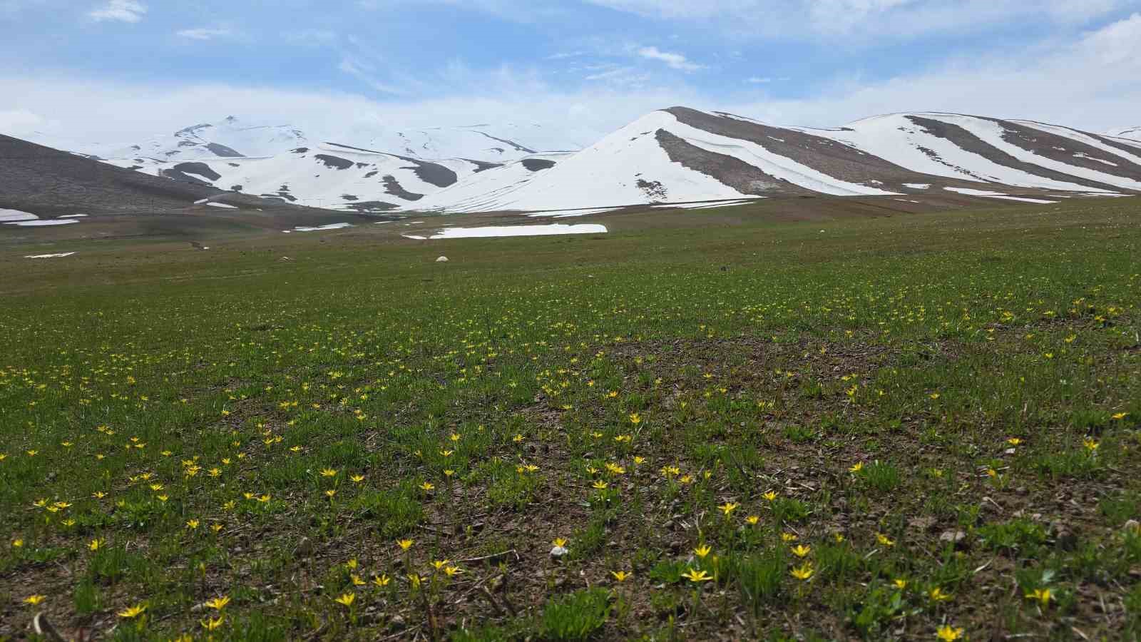 vanda iki mevsim bir arada yukseklerde kar mesaisi merkezde bahar guzelligi 6 z3C95Vyn