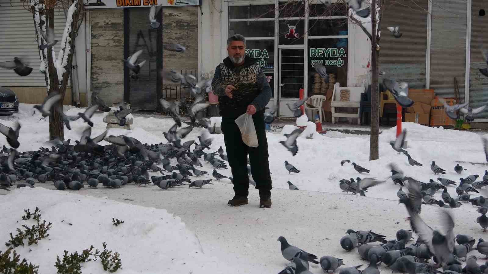 vanda kar sonrasi guvercinlerden gorsel solen 6 9AHu5uNI