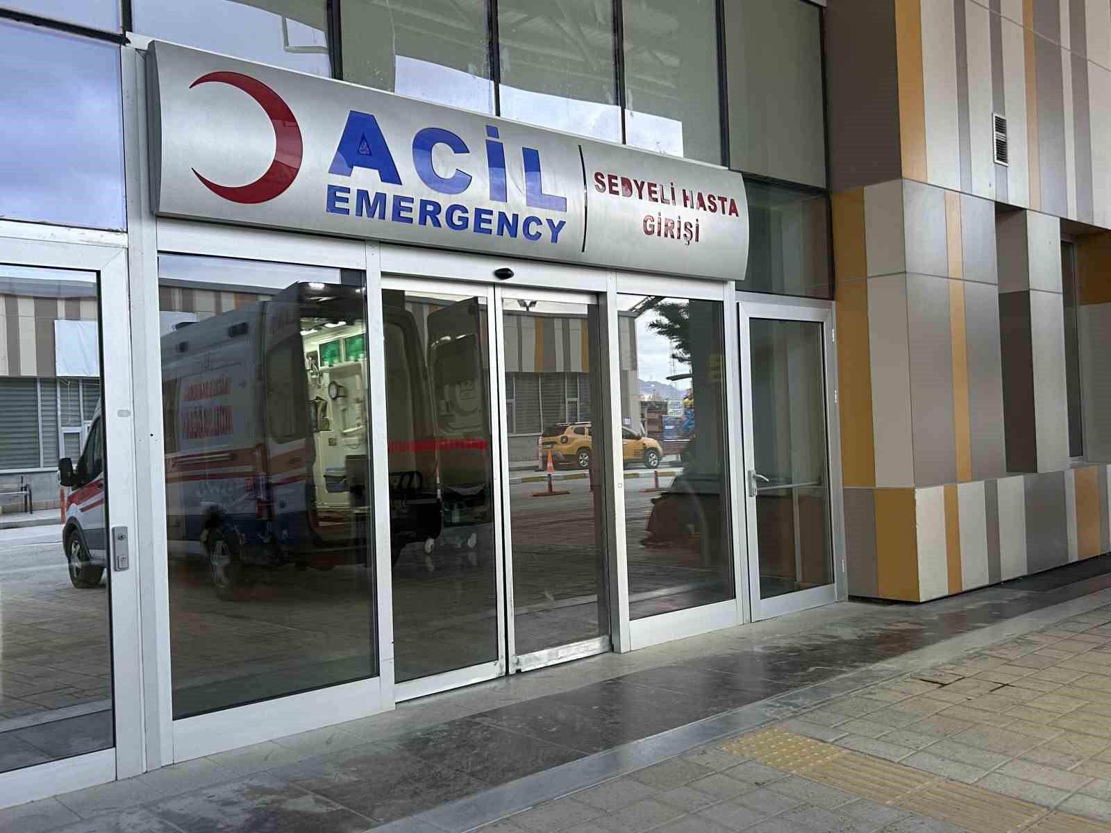 vanda kopeklerin saldirdigi 5 yasindaki cocuk hayatini kaybetti 3 jdhzinHF