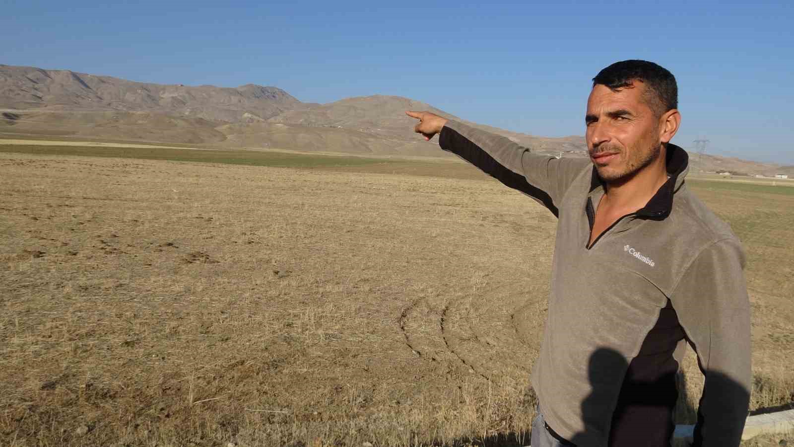 vanda korkunc manzara dusen enerji hatti yaban hayvanlarini oldurdu 1 NMgA76Vv