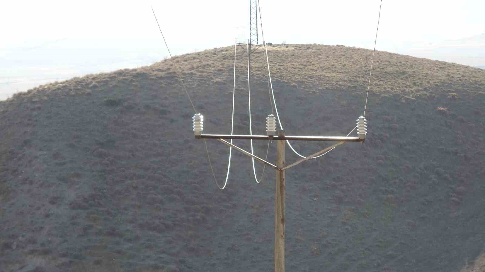 vanda korkunc manzara dusen enerji hatti yaban hayvanlarini oldurdu 3 yrGfNrVM