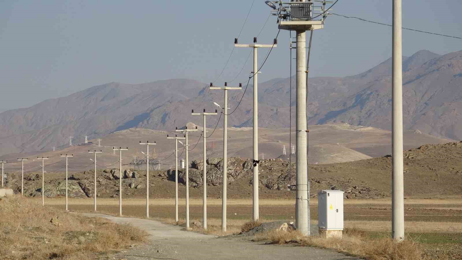 vanda korkunc manzara dusen enerji hatti yaban hayvanlarini oldurdu 5