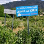 vanda-kuduz-alarmi-VCE6MbEW.jpg