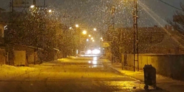 vanda-lapa-lapa-kar-yagdi-iZhQh8Ai.jpg