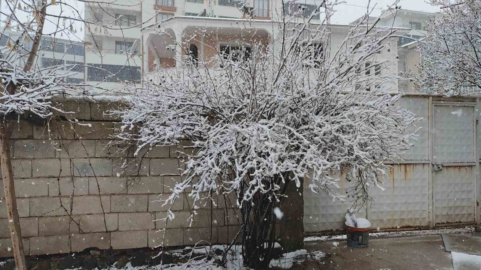 vanda nisan ayinda her yer beyaza burundu 5