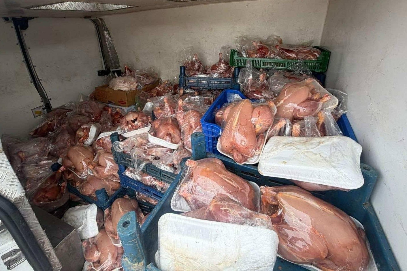 vanda saglik ve sevk belgeleri bulunmayan 200 tavuk ele gecirildi 0 frDChvsW