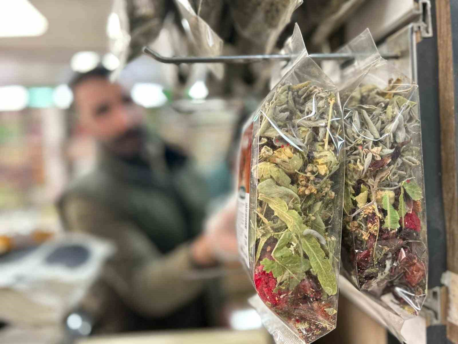 vanda soba uzerinde demlenen kis caylari ilgi goruyor 4 zlR2F7uv