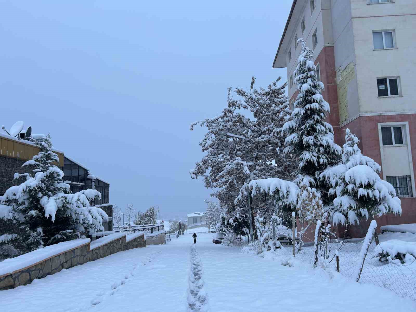 vanda yogun kar yagisi ucak seferleri rotar yapti 2 JTFPdPSO