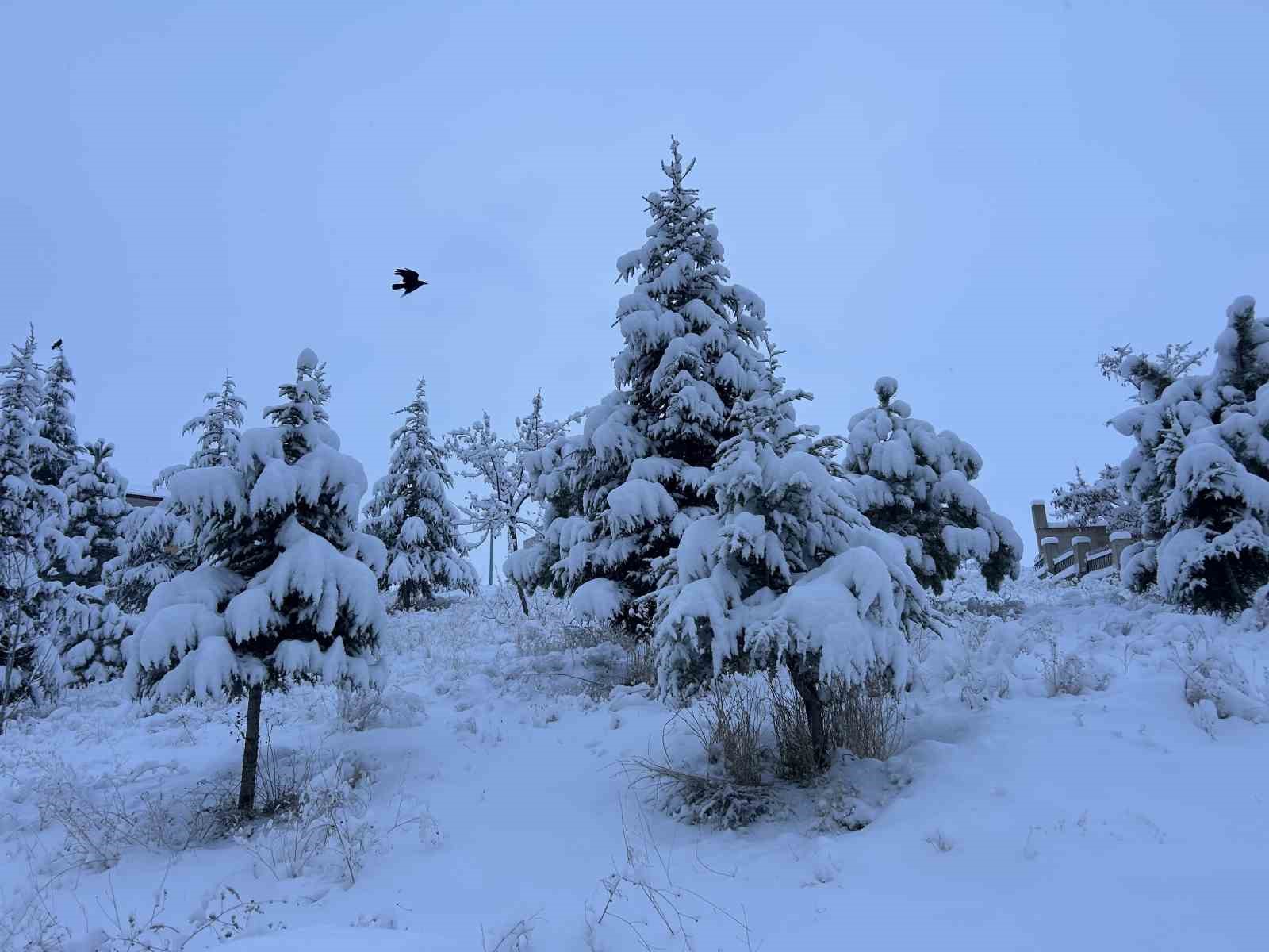 vanda yogun kar yagisi ucak seferleri rotar yapti 7 zpdSXaqj