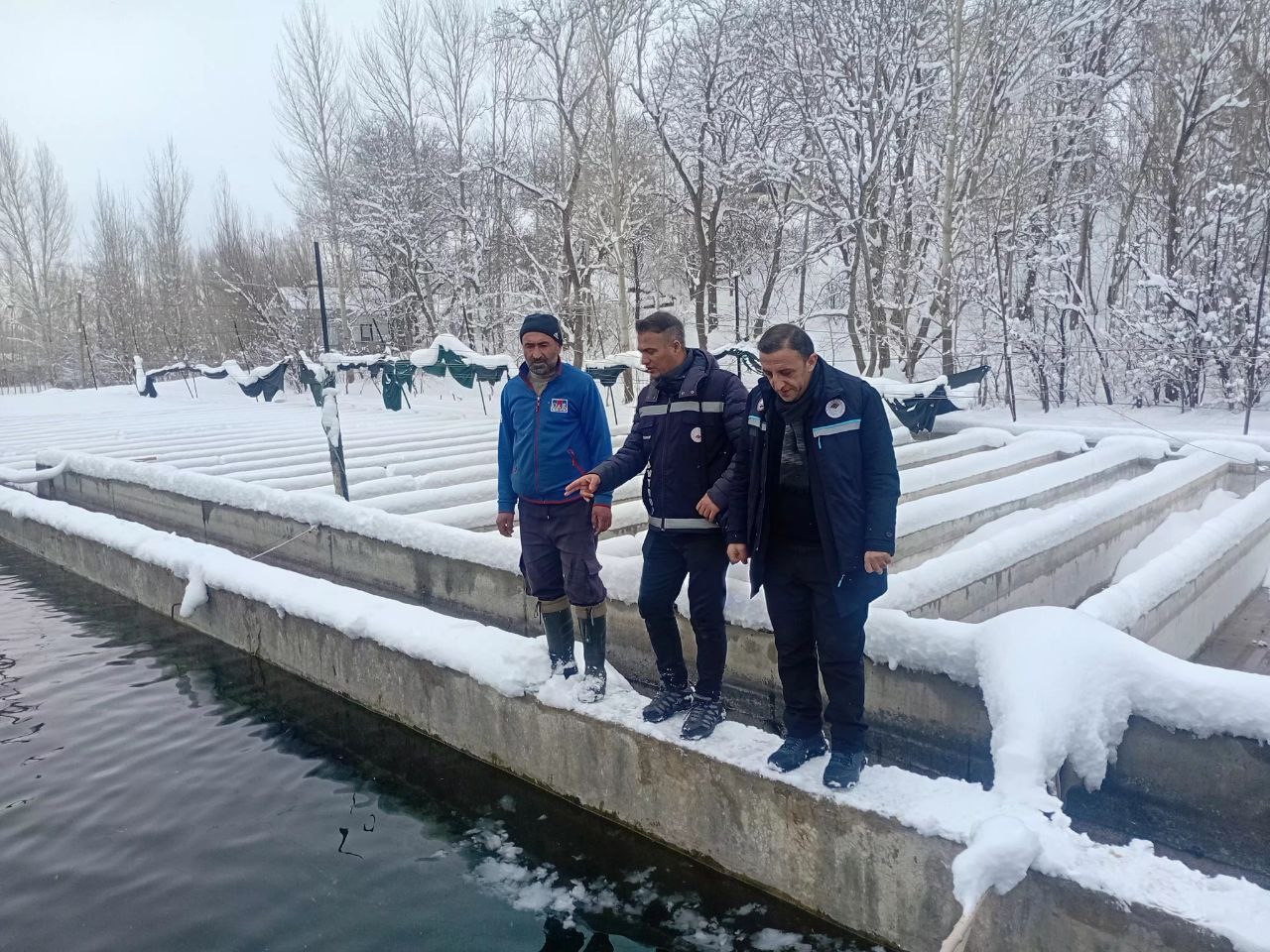 vanda zorlu kis sartlarinda alabalik uretimi mercek altinda 0 zVpTNXhV