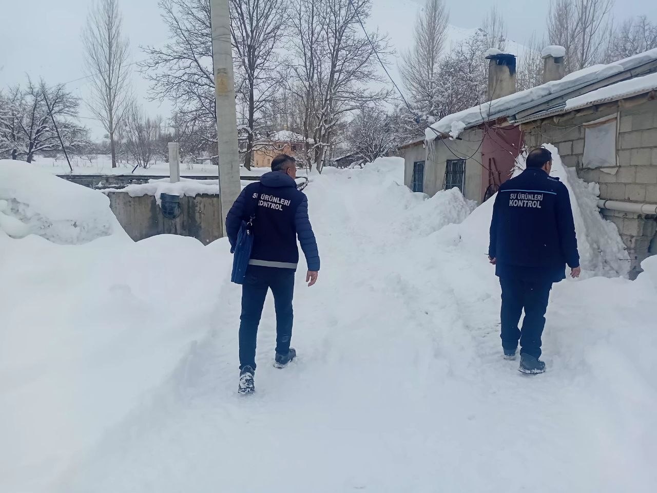 vanda zorlu kis sartlarinda alabalik uretimi mercek altinda 3 lWTb3PIz