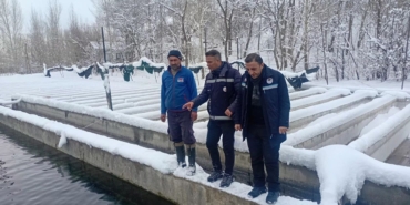 vanda-zorlu-kis-sartlarinda-alabalik-uretimi-mercek-altinda-DH5Cy9PI.jpg