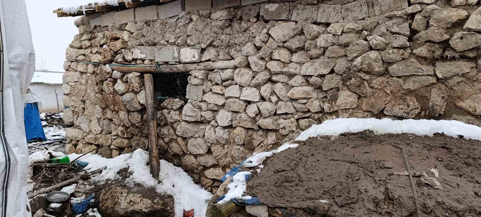 vandaki depremde bir ahirin duvari coktu 7 RZh3U1MX