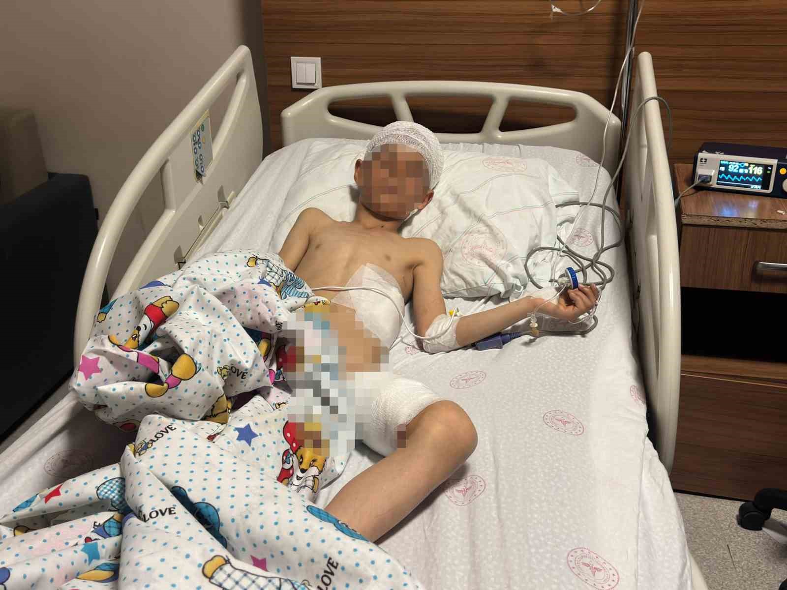 vandaki kopek dehsetinde kan donduran detaylar 0