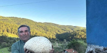 vatandasin-buldugu-5-kiloluk-mantar-sasirtti-HItMSisr.jpg