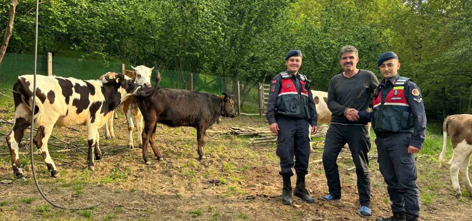 vatandasin kaybolan buyukbaslarini jandarma dron ile buldu 1