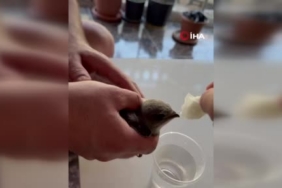 Deprem riski yüksek Bingöl’de afete müdahale kapasitesi güçleniyor 1 thumbnail