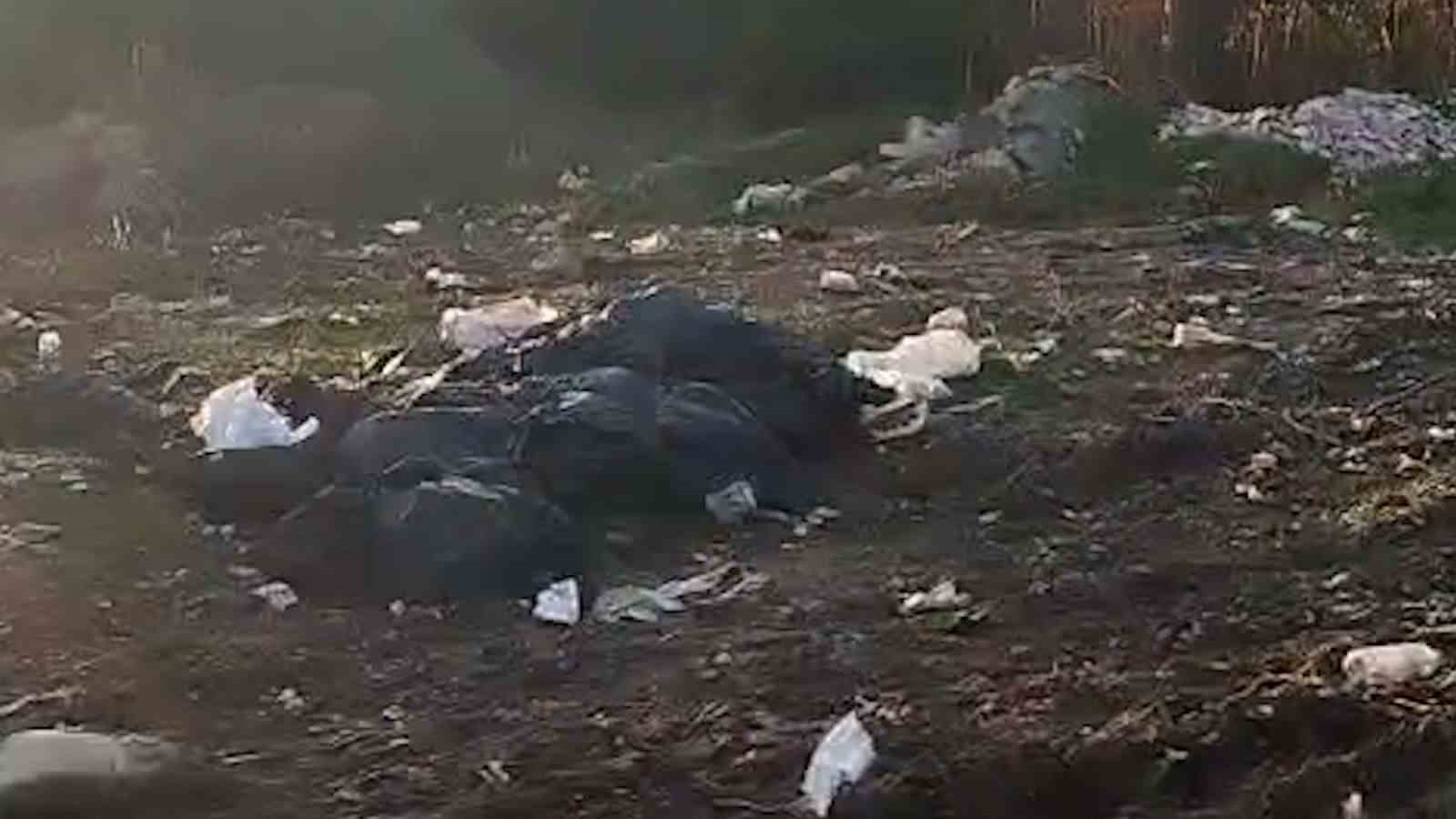vatandaslarin kirlettigi ormanlik alani muhtar temizledi 0 OCdnmTUb