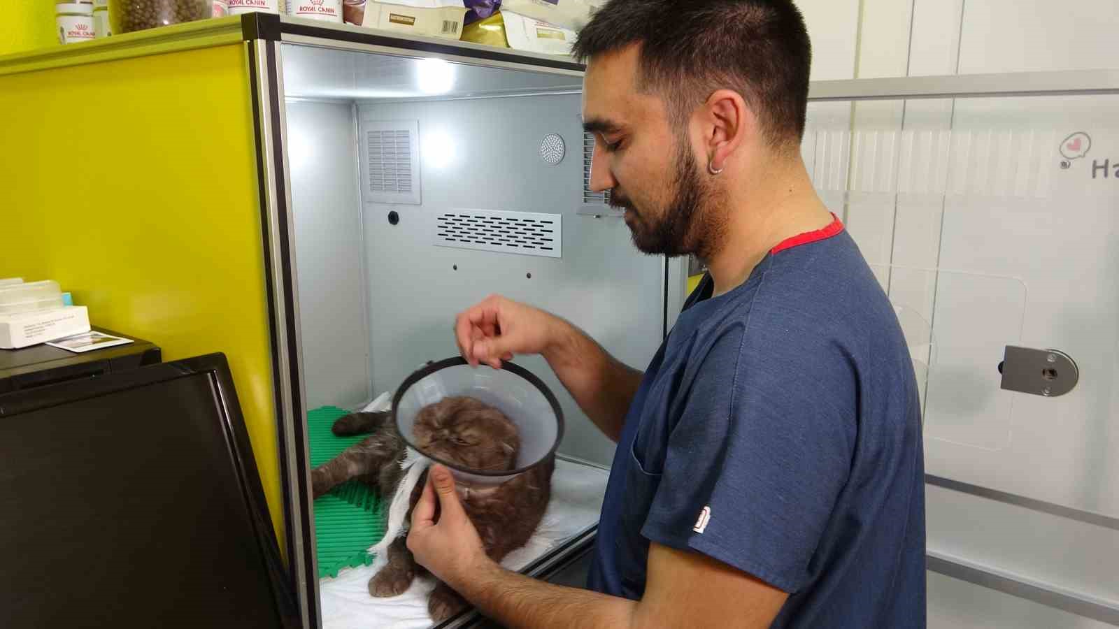 veteriner uyardi cig kurban artiklarini hayvanlara vermeyin 2 EQCK7zn9