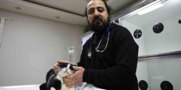 veterinerler-yanginda-yaralanan-11-kedinin-gonullu-tedavisini-ustlendi-EzqfMsdt.jpg