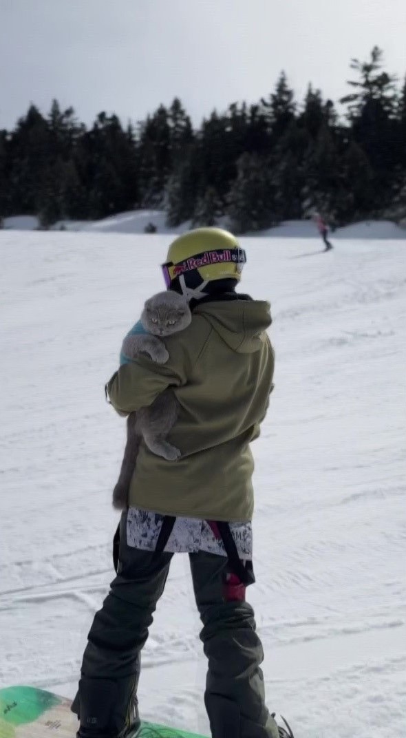 veterinerlerin yasamaz dedigi kedi denizde yuzdu uludagda kayak keyfi yapti 3 s6tH5m4Q