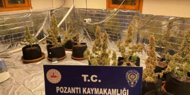 villada-uyusturucu-yetistirmisler-torbaci-sevgililer-yakalandi-4-kilo-uyusturucu-ele-gecirildi-rhnGOj3n.jpg