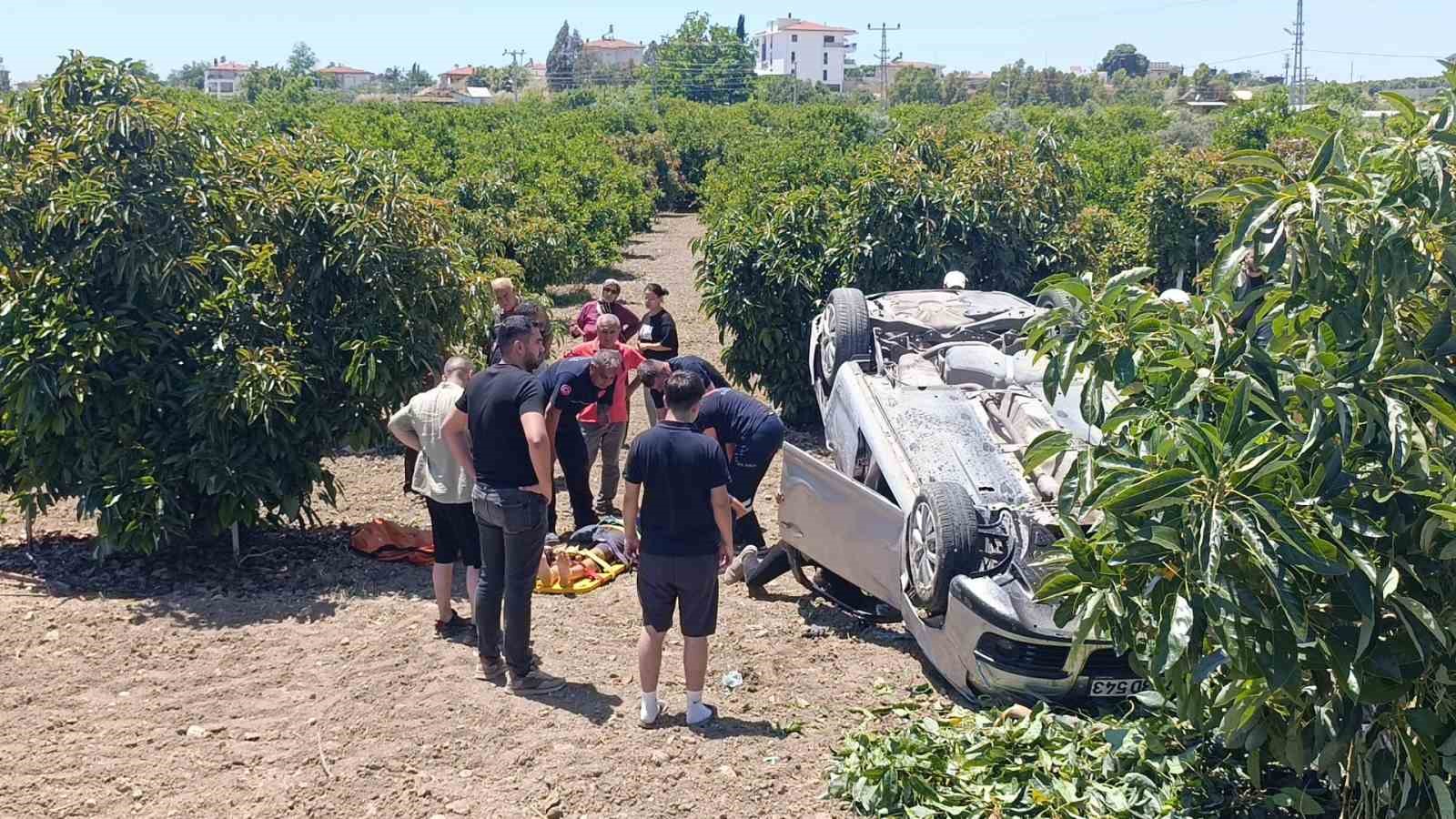 viraj alamayan otomobil avokado bahcesine uctu 1 7XDTIMyg