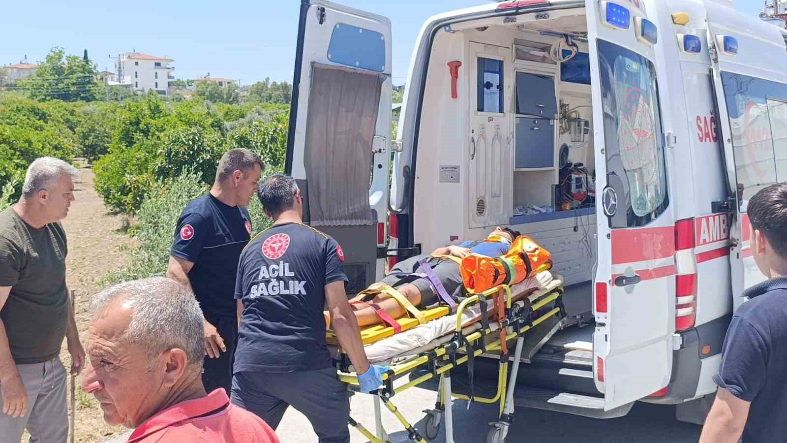 viraj alamayan otomobil avokado bahcesine uctu 4 SUczyFLj