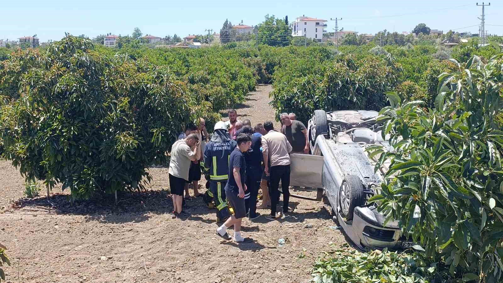 viraj alamayan otomobil avokado bahcesine uctu 5 k5yksjYE