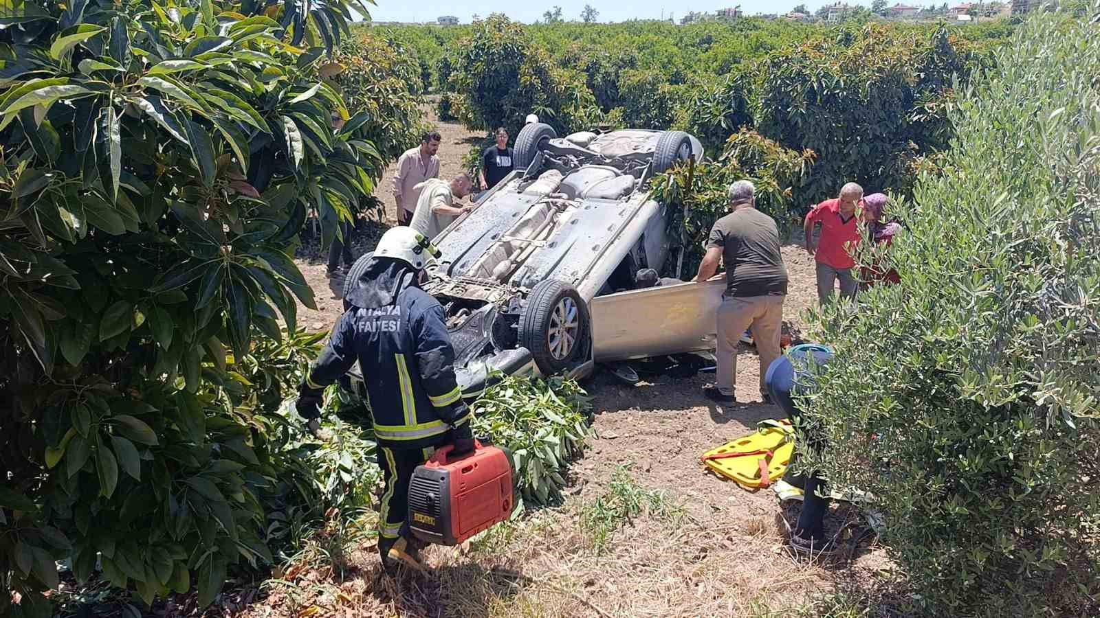 viraj alamayan otomobil avokado bahcesine uctu 7