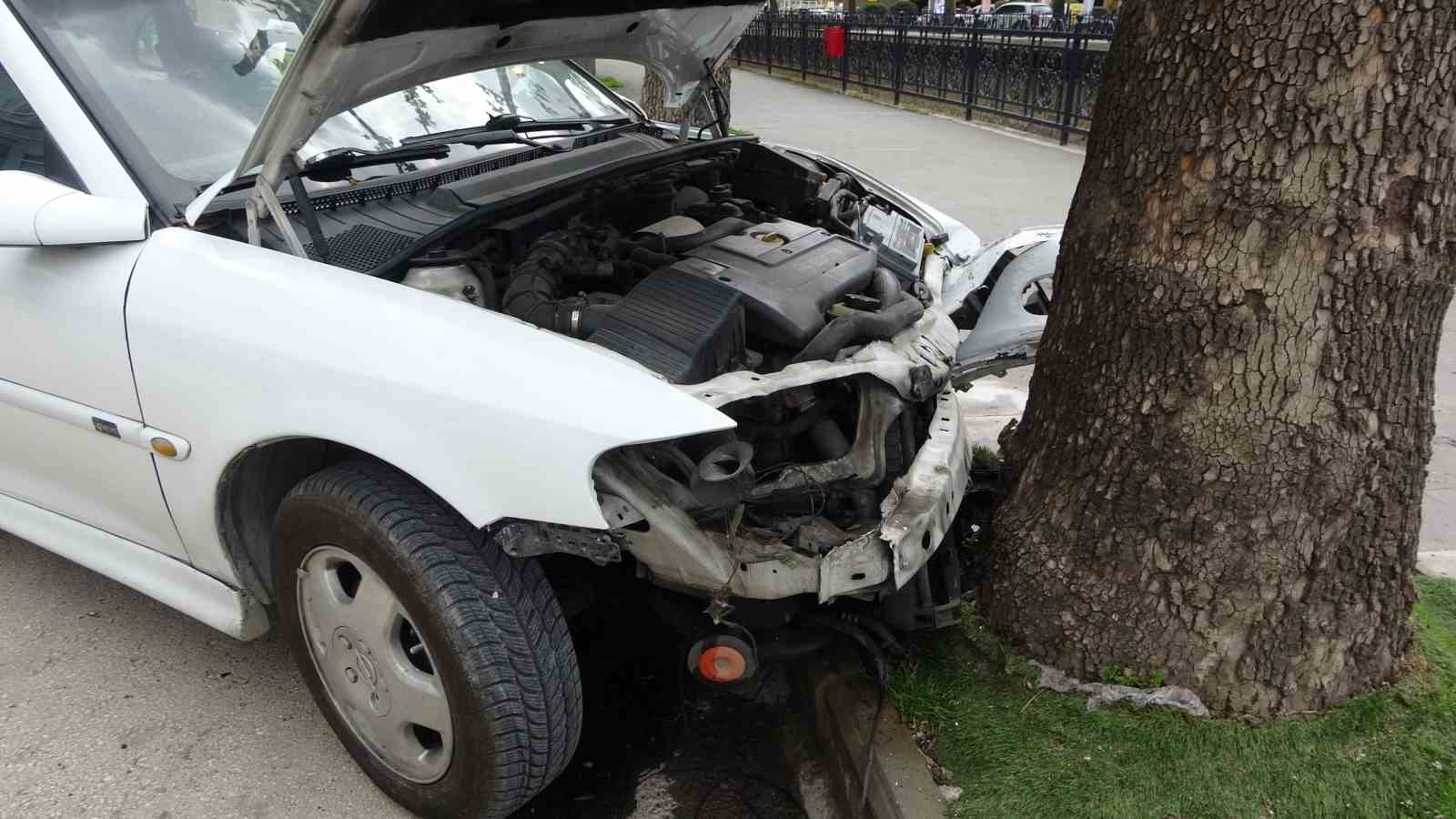 viraji alamayan otomobil kaldirimda agaca carpti 3 i3NNw3EU