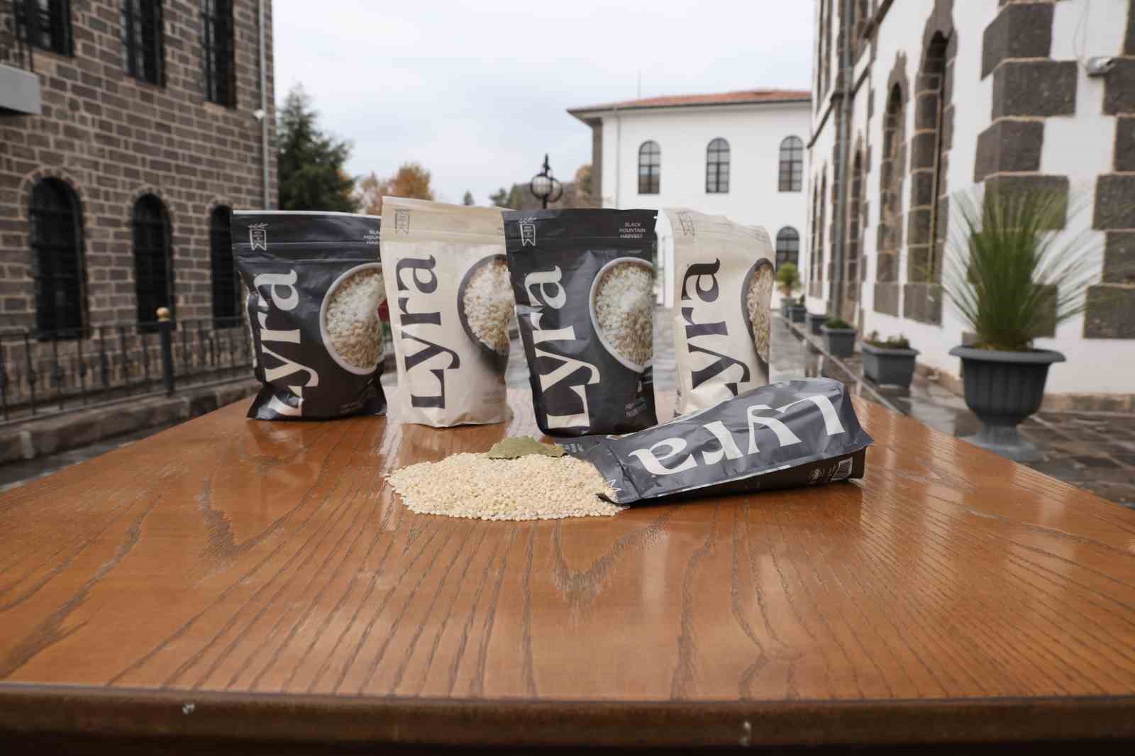 Volkanik arazide yetiştirilen Karacadağ pirinci zengin mineral oranıyla dikkat çekiyor 6 volkanik arazide yetistirilen karacadag pirinci zengin mineral oraniyla dikkat cekiyor 2 HpcUAZuz