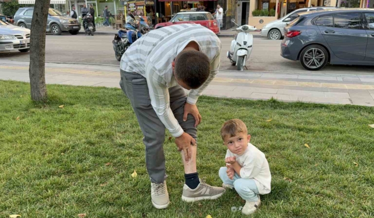 vucuduna-tutunan-kene-ile-yuzuk-takma-merasimine-katilan-besici-tehlikeyi-hice-sayarak-keneyi-besiye-pMkku3FI.jpg