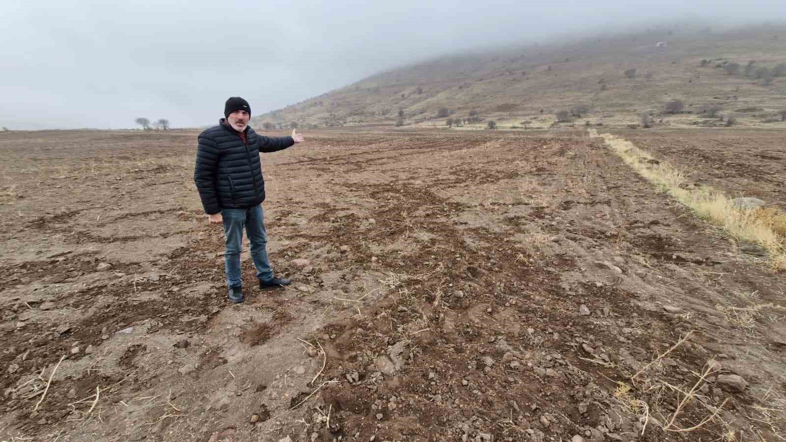 yaban domuzlari arpa ve bugday ekili tarlayi adeta haritaya cevirdi 4 MDJylRbl