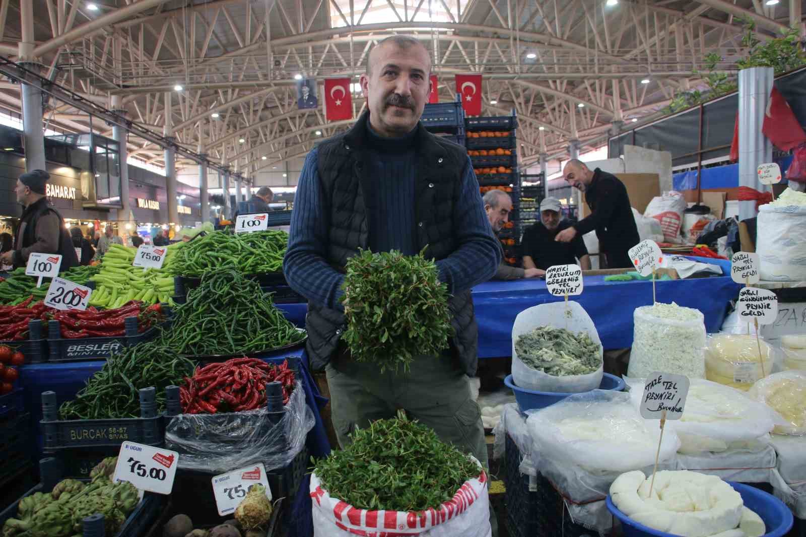 yabani otlarin arasindan ozenle secilerek jilet yardimiyla tek tek toplaniyor 3 bvprOOVN