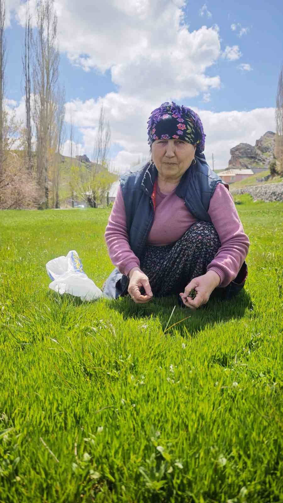 yabani otlarin arasindan ozenle secilerek jilet yardimiyla tek tek toplaniyor 4 E6RkwEeV