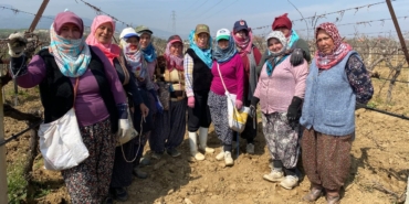 yagisa-teslim-olan-baglar-ayaga-kalkti-9Z348h3x.jpg