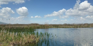 yagislar-eber-golune-can-suyu-oldu-kiraz-ureticisinin-yuzu-guldu-XeylNdtx.jpg