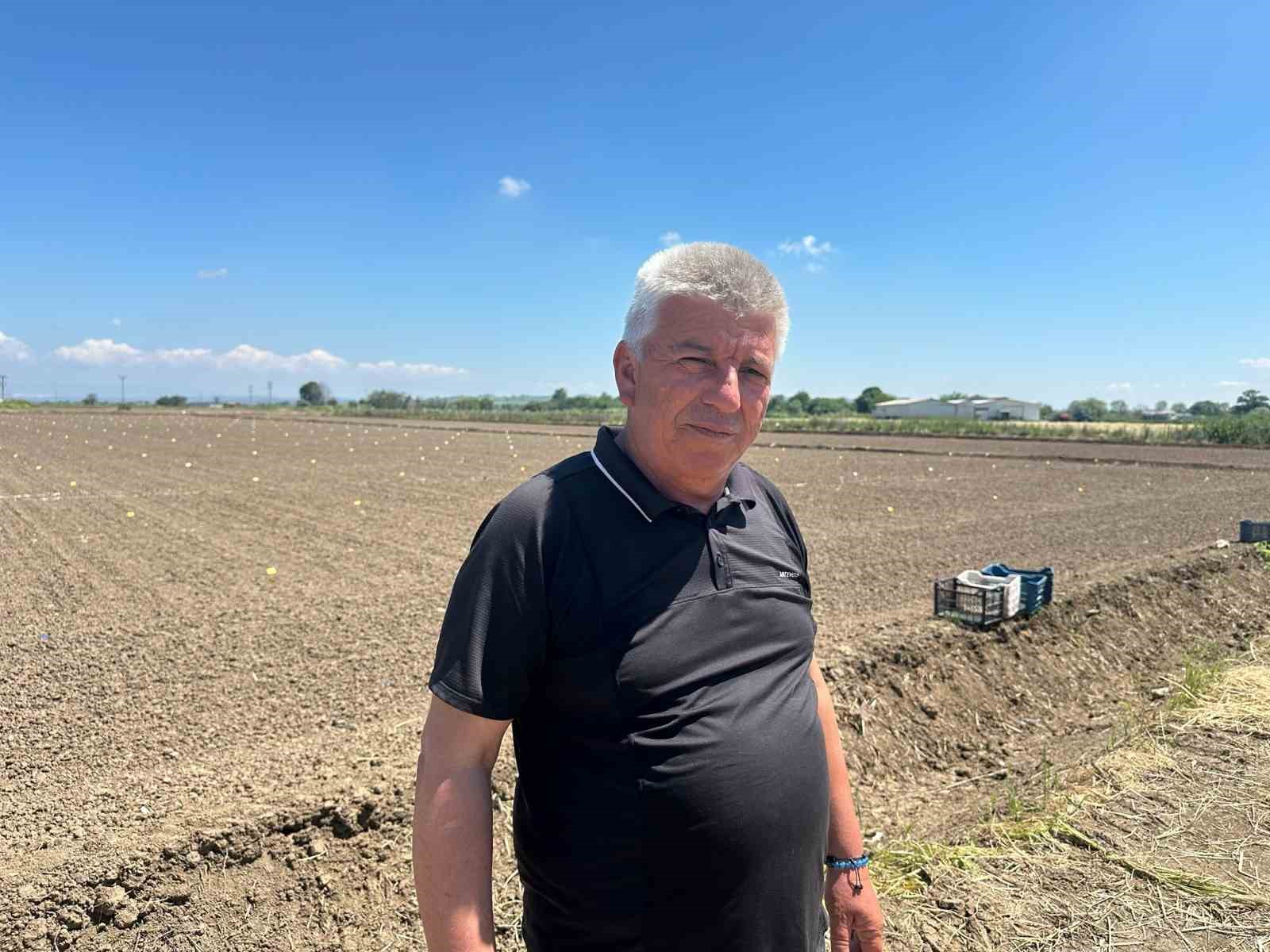 yagislar karacabey ovasina bugday bereketi getirdi dekara 900 kilogram bekleniyor 0