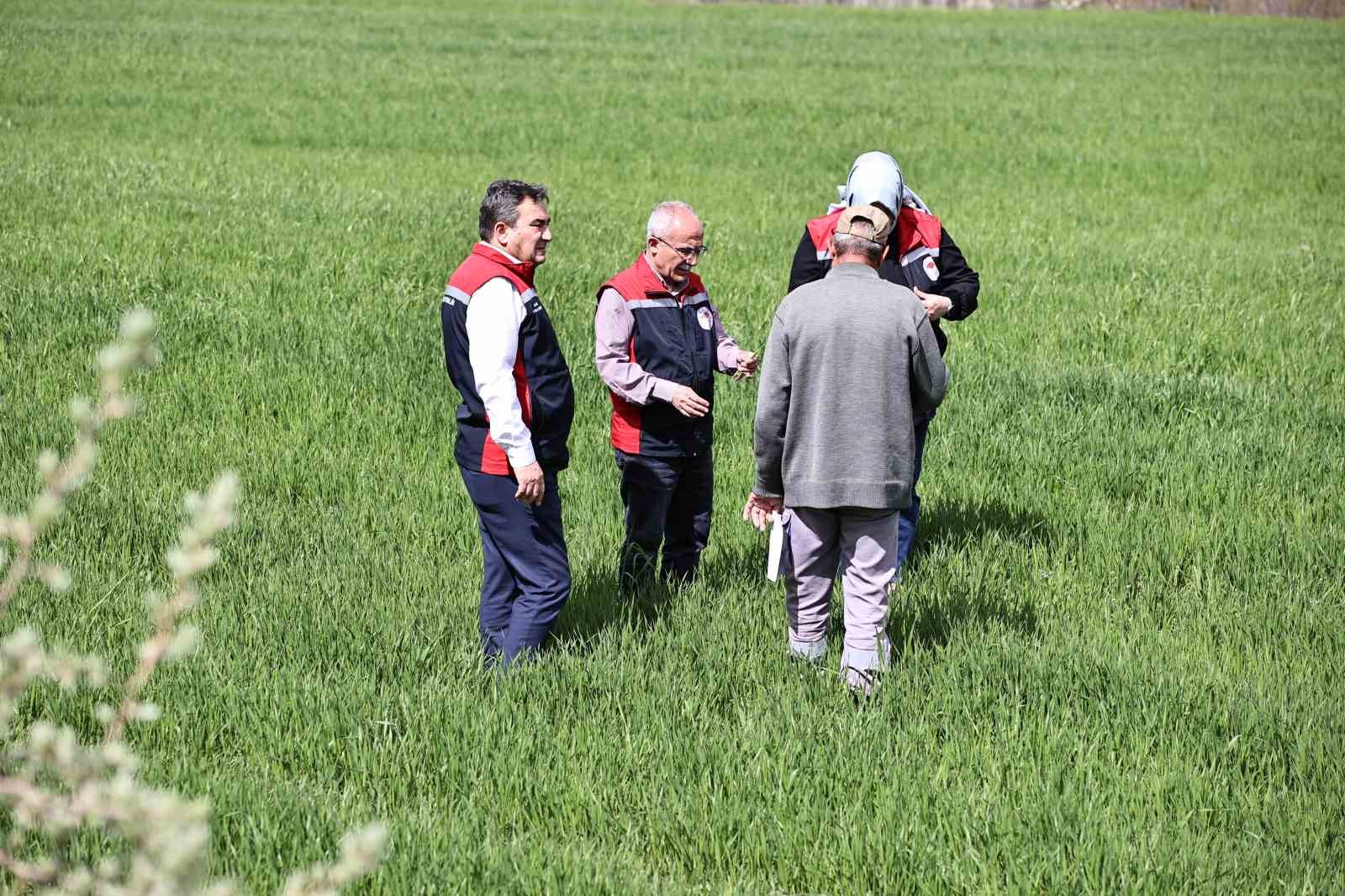 Yağışlar sonrası çiftçilere hububat tarlalarında hastalık riski uyarısı: "Hastalık çıkmadan önce alınan tedbirler verimi korur" 4 yagislar sonrasi ciftcilere hububat tarlalarinda hastalik riski uyarisi hastalik cikmadan once alinan tedbirler verimi qCKl2yMD