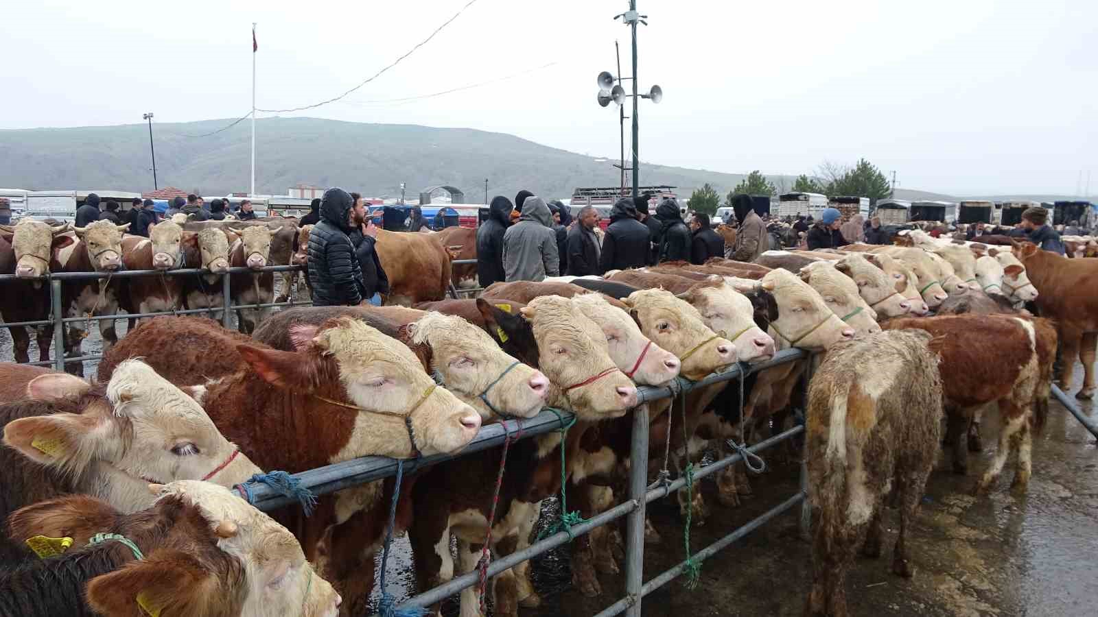 yagisli havaya aldiris etmeyen ureticiler ve alicilar bu pazarda bulusuyor 1 z6L4RWjg