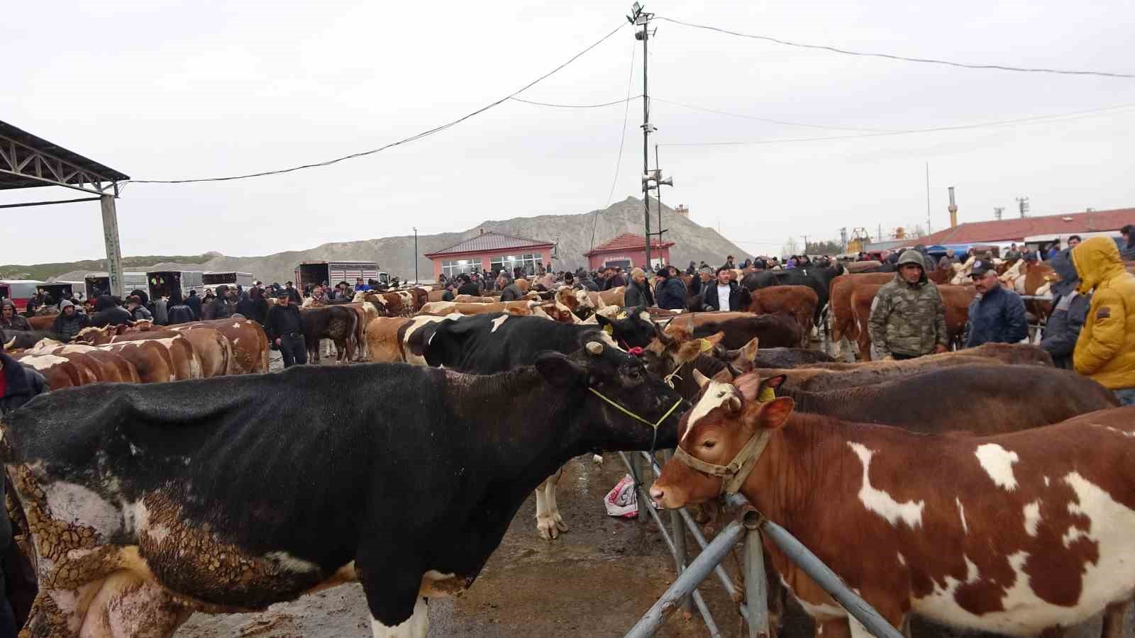 yagisli havaya aldiris etmeyen ureticiler ve alicilar bu pazarda bulusuyor 2 HjnSM9yg