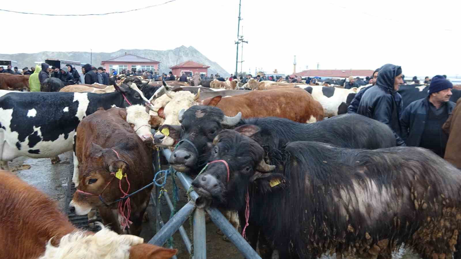 yagisli havaya aldiris etmeyen ureticiler ve alicilar bu pazarda bulusuyor 3 wUpuLKbA