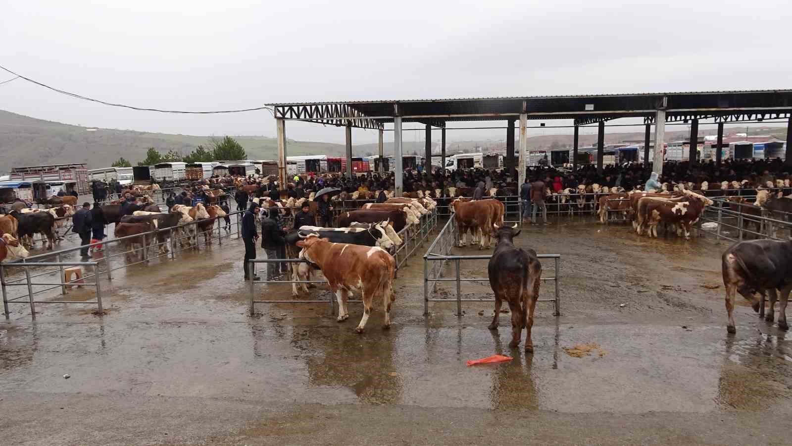 yagisli havaya aldiris etmeyen ureticiler ve alicilar bu pazarda bulusuyor 4 VykgW8Vl