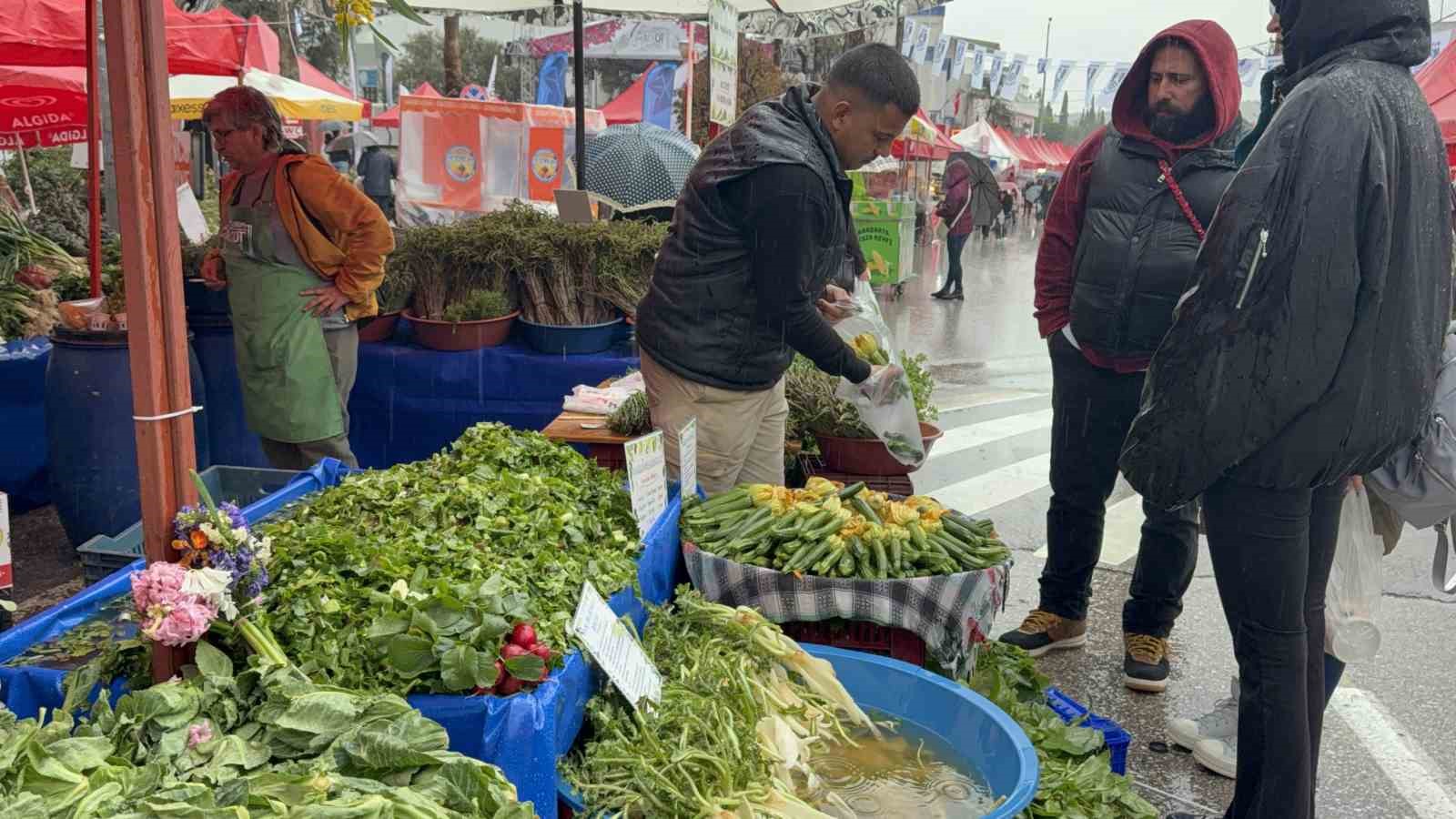 yagmur dinlemediler bodrum aci ot festivaline ziyaretci akini 10 cRaH19T3